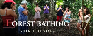 Class | Forest Bathing with Rosita Arvigo | Thumbnail