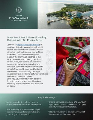 PDF Brochure Cover Image
